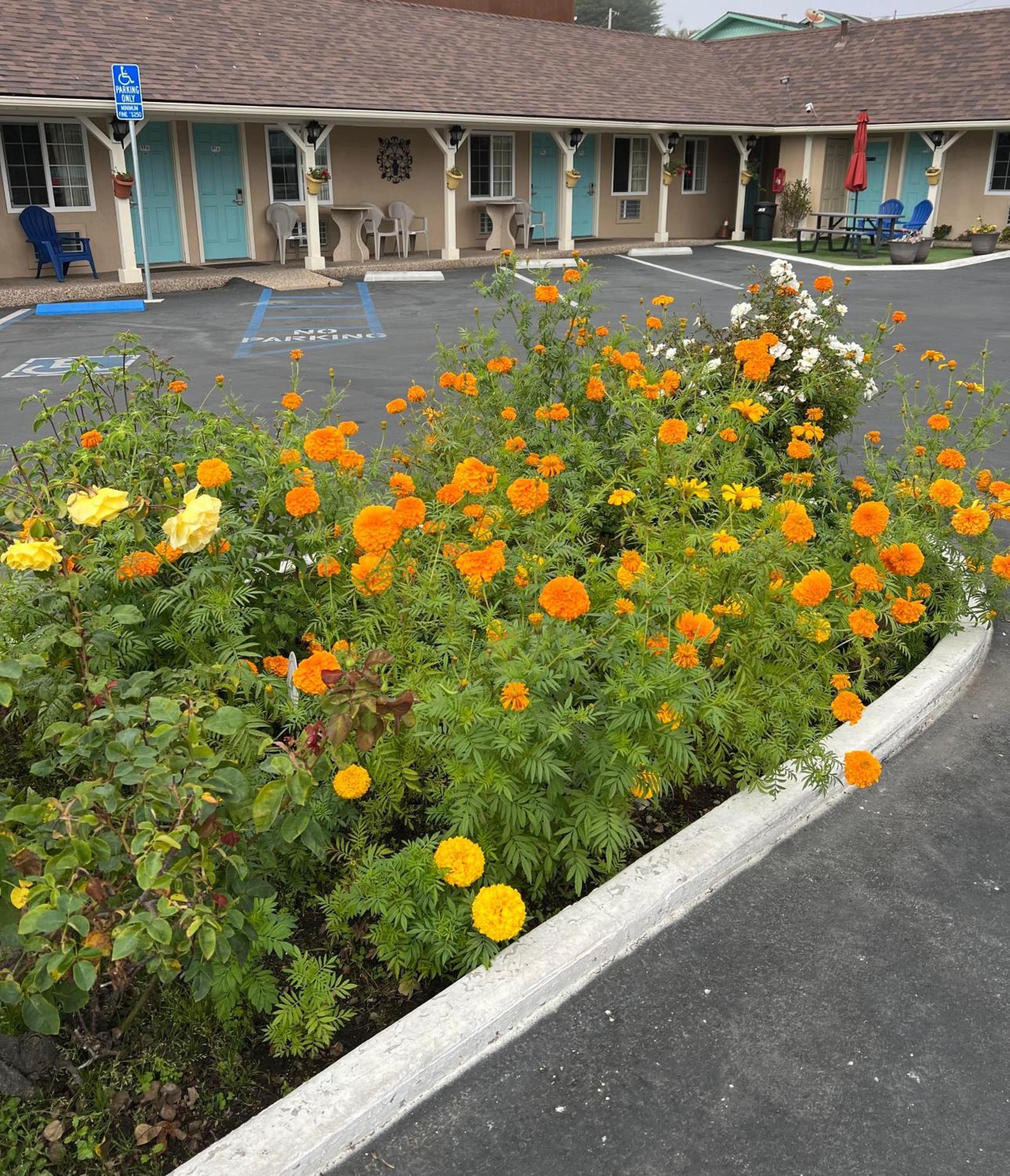 Central Coast Inn Cayucos Zewnętrze zdjęcie